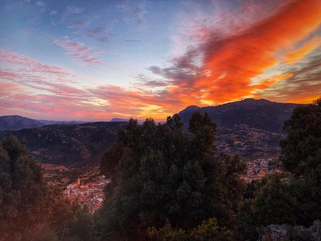 Orgosolo B&B Sardegna Extérieur photo