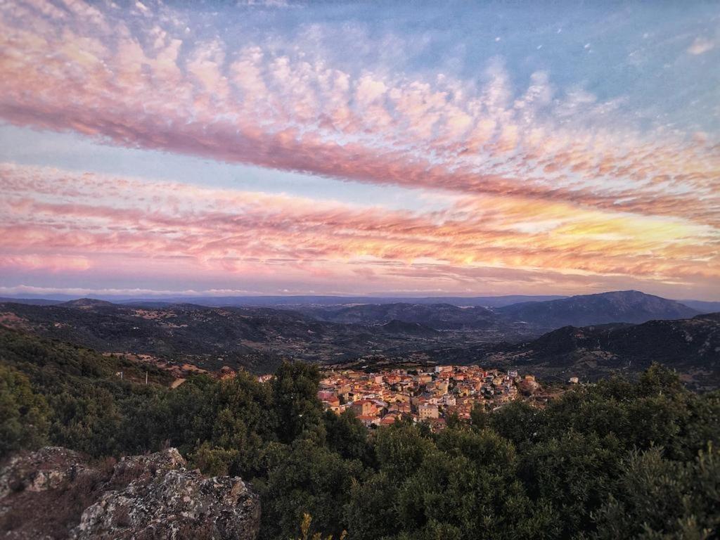 Orgosolo B&B Sardegna Extérieur photo